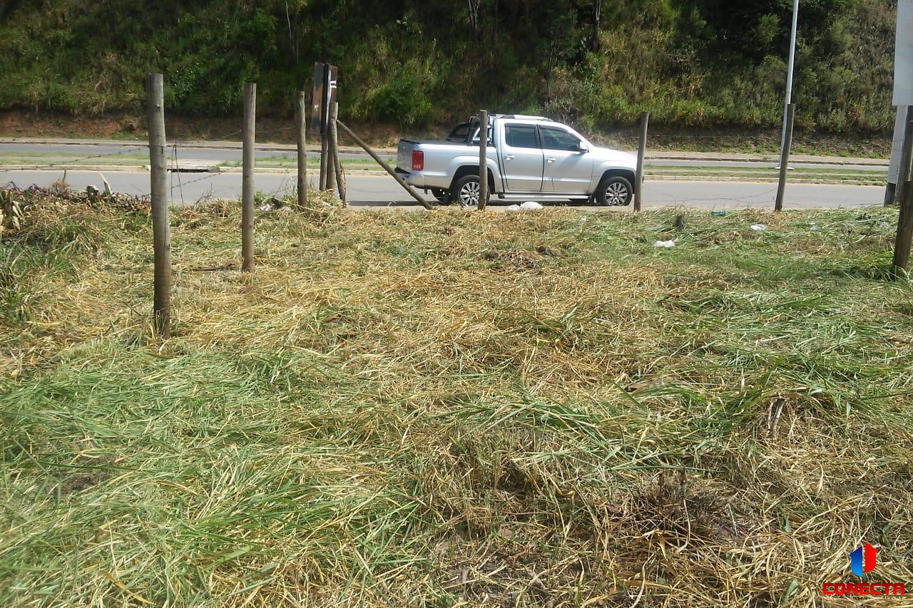 Terreno à venda, 250m² - Foto 10