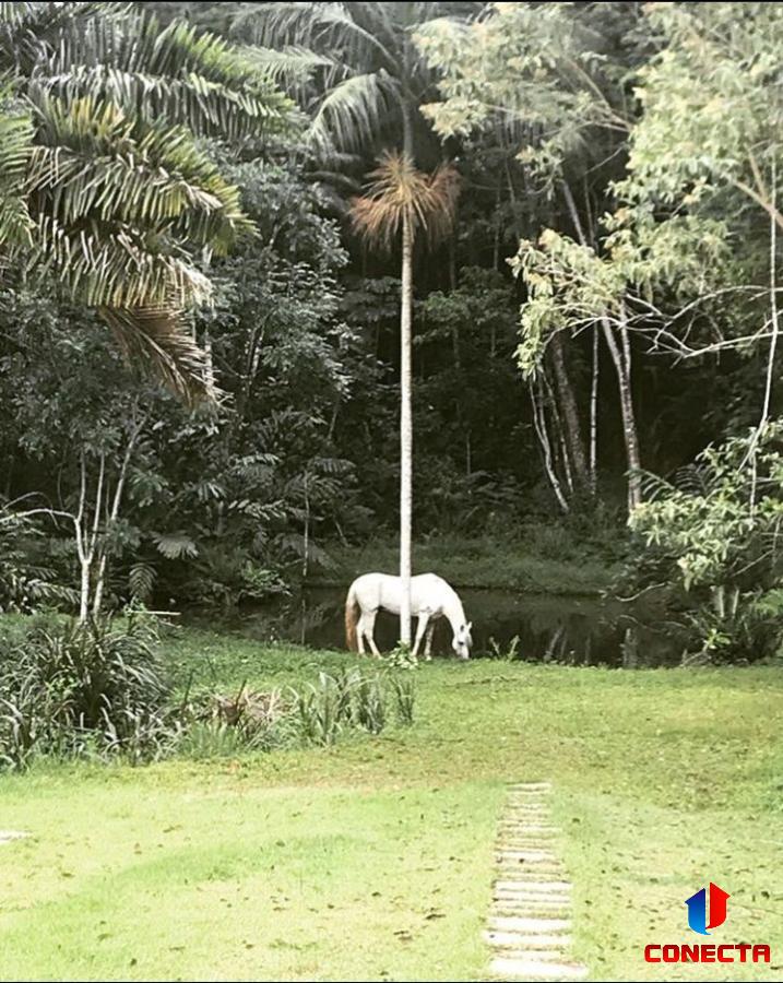 Chácara à venda com 4 quartos, 7m² - Foto 17